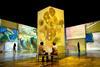 Beyond Van Gogh: The Immersive Experience