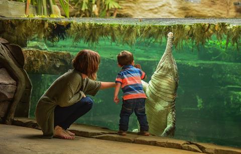 A little boy and his mum get up close to a sunda gharial reptile at Chester Zoo