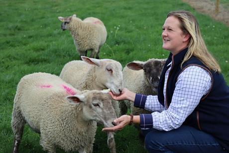 Belvoir Castle's new animal park