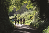 A walking group%2C HF Holidays
